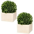 thumbnail image 1 of Faux Boxwood Boxed Topiary, Medium-Color:Green,Style:Botanical, 1 of 6