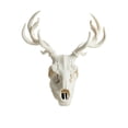 thumbnail image 1 of Faux Deer Skull Wall Mount, Gothic White Wall Art for Halloween Home Decor and Rustic Display, 1 of 5
