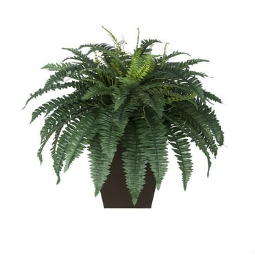 Faux Fern in Square Zinc Planter Gloss Brown