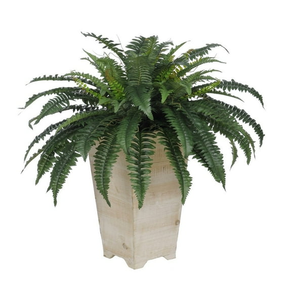 Faux Fern in Tall Washed-Wood Planter White-Wash