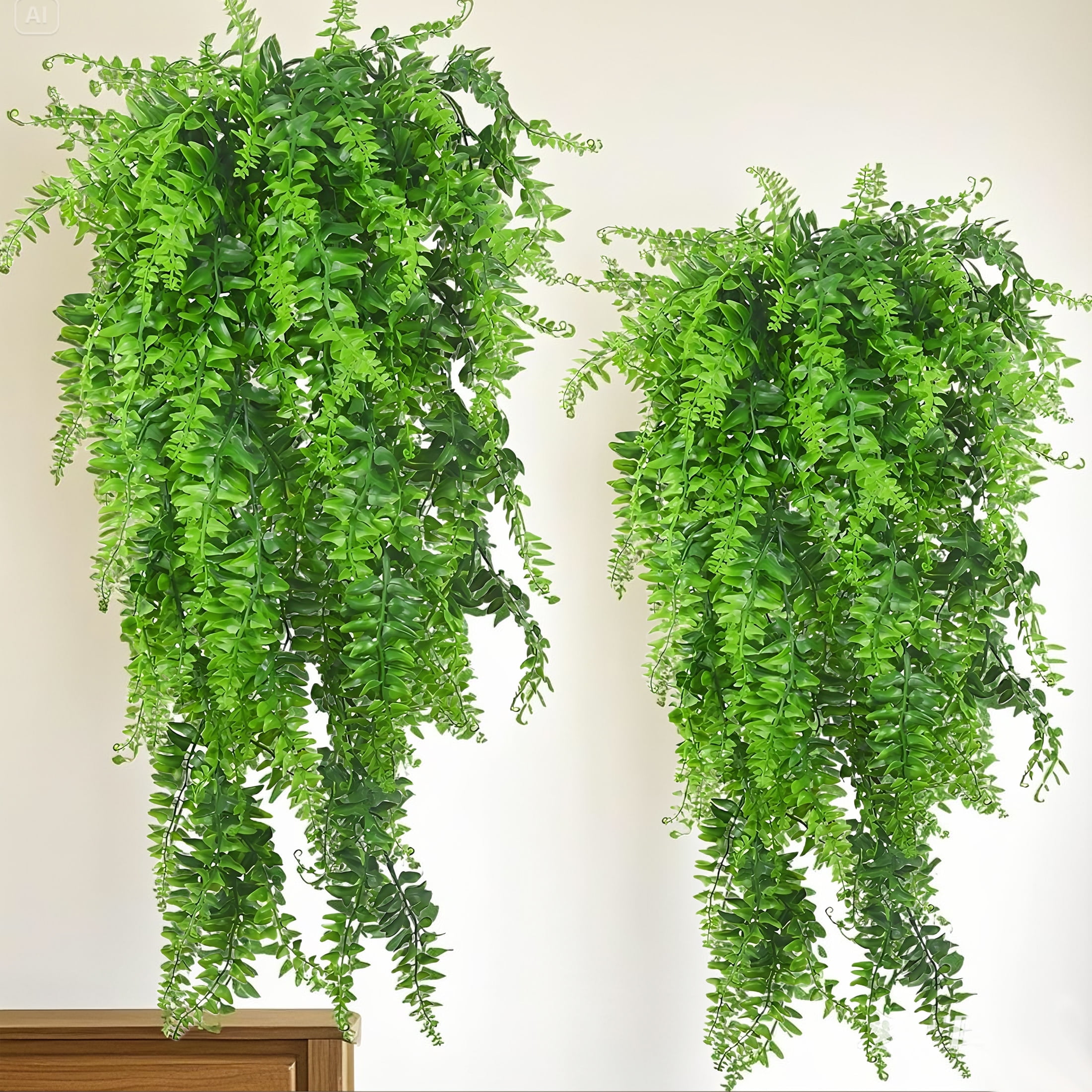 mass cane indoor plant Massangeana Cane (Corn Plant)