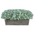 thumbnail image 1 of Faux Hydrangeas in Grey Wood Washed Ledge Planter Teal, 1 of 5