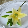 thumbnail image 1 of Faux Lilies, Artificial Flowers, White Yellow Pink Plastic Simulated Lilies for Home Decor, Waterproof Fade Resistant, 1 of 4