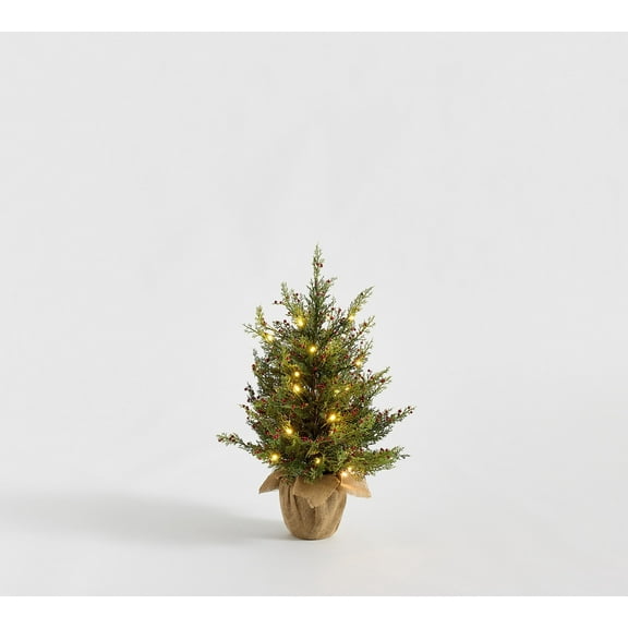 Faux Lit Cedar Berry Pine Tree - 2'Ft Pre-Lit Tabletop Christmas Tree, Artificial Mini Tree Decoration, Small Christmas Tree Gifts, Rustic Xmas Decor for Home & Office