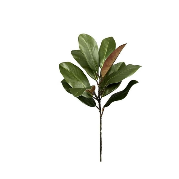Magnolia Branches Magnolia Leaves Realistic Magnolia Leaves Twigs Greenery Magnolia for Home Table Vase Artificial Greenery Stems for Home Indoor Outdoor Decor