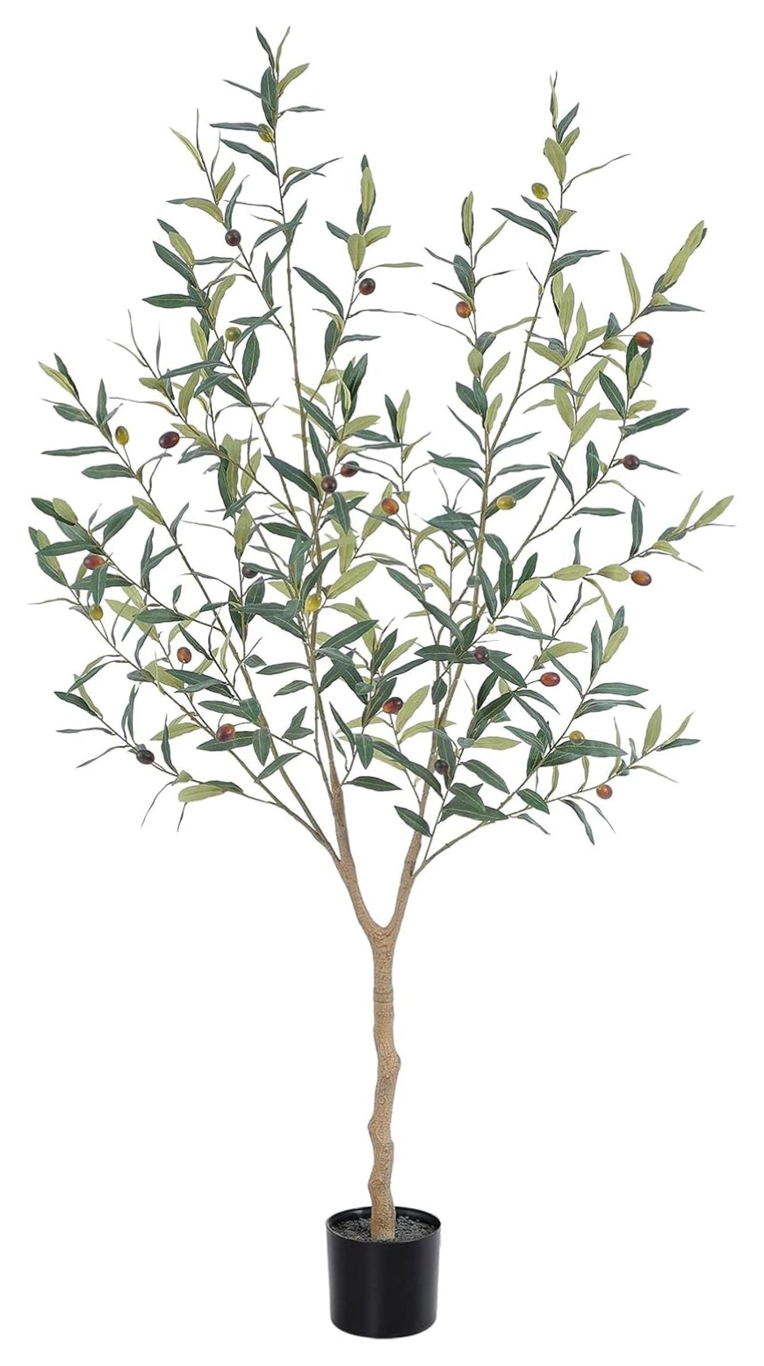 Faux Olive Tree 5ft，Olive Trees Artificial Indoor with Natural Trunk ...