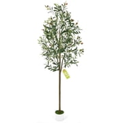 Faux Olive Tree 6FT, Artificial Olive Trees with Natural Trunk and Realistic 795 Leaves and 44 Fruits, Faux Olive Silk Tree for Indoor, Large Olive Plants with White Planter for Office Home Decor