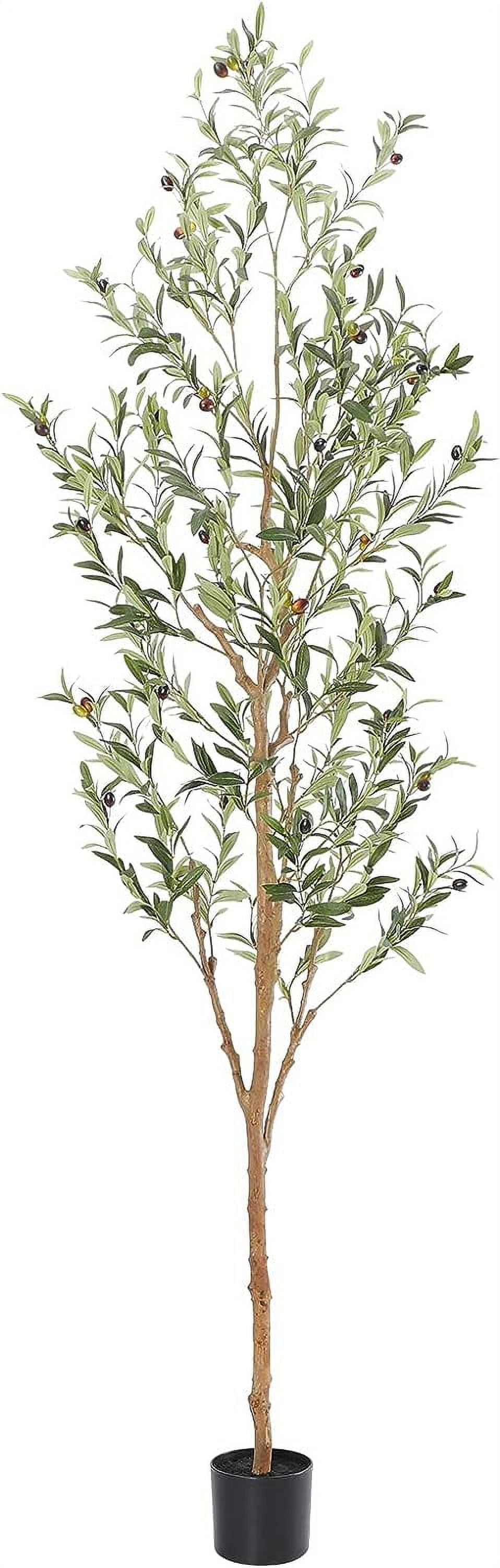 Faux Olive Tree 6ft，Olive Trees Artificial Indoor with Natural Wood ...