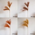 thumbnail image 1 of Faux Plant Reed Grass Stem In Various Colors 30" Tall, 1 of 8