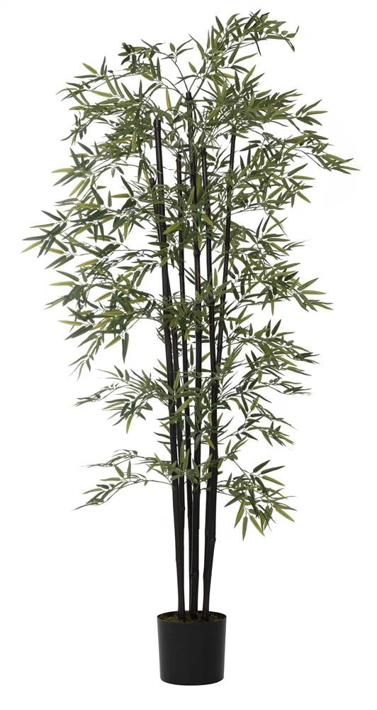72" Tall Green Bamboo Tree with Black Poles in Eco Planter