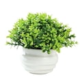 thumbnail image 1 of Faux Potted Plant for Home Desktop Decor, Realistic Artificial Small Greenery Arrangement for Office Table Bookshelf, Modern Indoor Decorative Accent C#059 Multicolor, 1 of 7