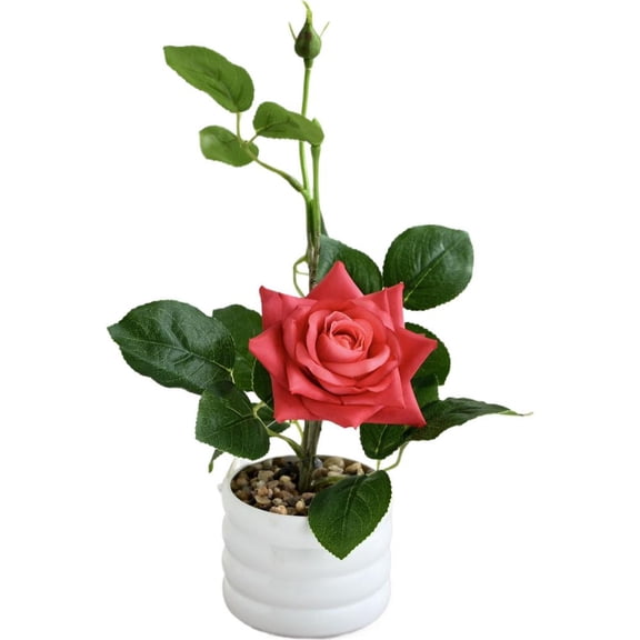 Faux Rose Plant in Pot with Simulated Pebbles - No Water Artificial Flower, 27cm, White Red Pink