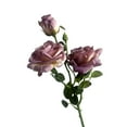 thumbnail image 1 of Faux Roses with Stems, Artificial Flower, 27 In, Wedding Centerpiece Table Decorations, Blue Living Room Decor, Living Room Decorations, Purple Ruffled Edge, 1 Pc, 1 of 6