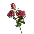 thumbnail image 1 of Faux Roses with Stems, Burnt Edge Blooms, 26 In, Wedding Table Decorations, Blue Decor for Living Room, Mauve Pink, Single Hobby, 1 Pc, 1 of 6