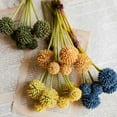 thumbnail image 1 of Faux Silk Artificial Craspedia Globosa Bundle Set 9" Tall, 1 of 6