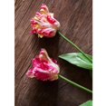 thumbnail image 1 of Faux Silk Flower Flame Tulip Stem 24" Tall, 1 of 12