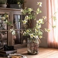 thumbnail image 1 of Faux Silk German Clematis Flower Stem in White 40" Tall, 1 of 4