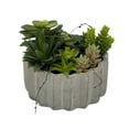 thumbnail image 1 of Faux Succulent In Cement Pot 7" Diameter, 1 of 4