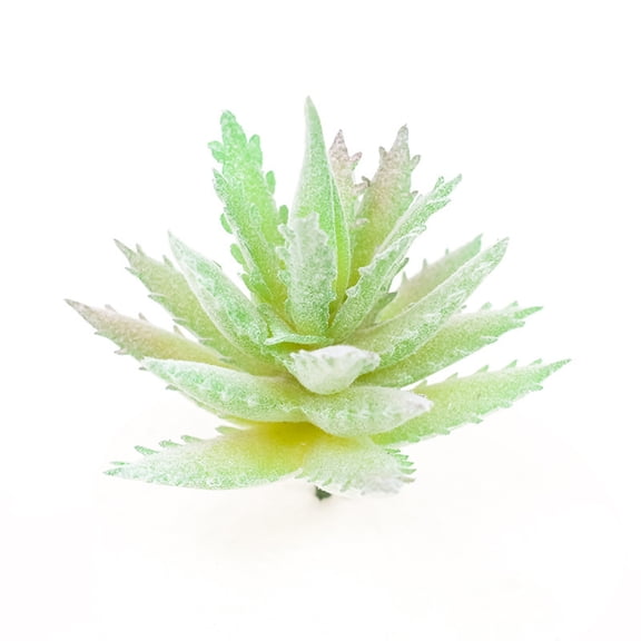 Succulent Assortment, Green Artificial Succulents & Cactus Stems, Textured Succulents for DIY Home Decor Wedding Centerpiece, Unpotted Indoor Wall Garden Flocked Decor