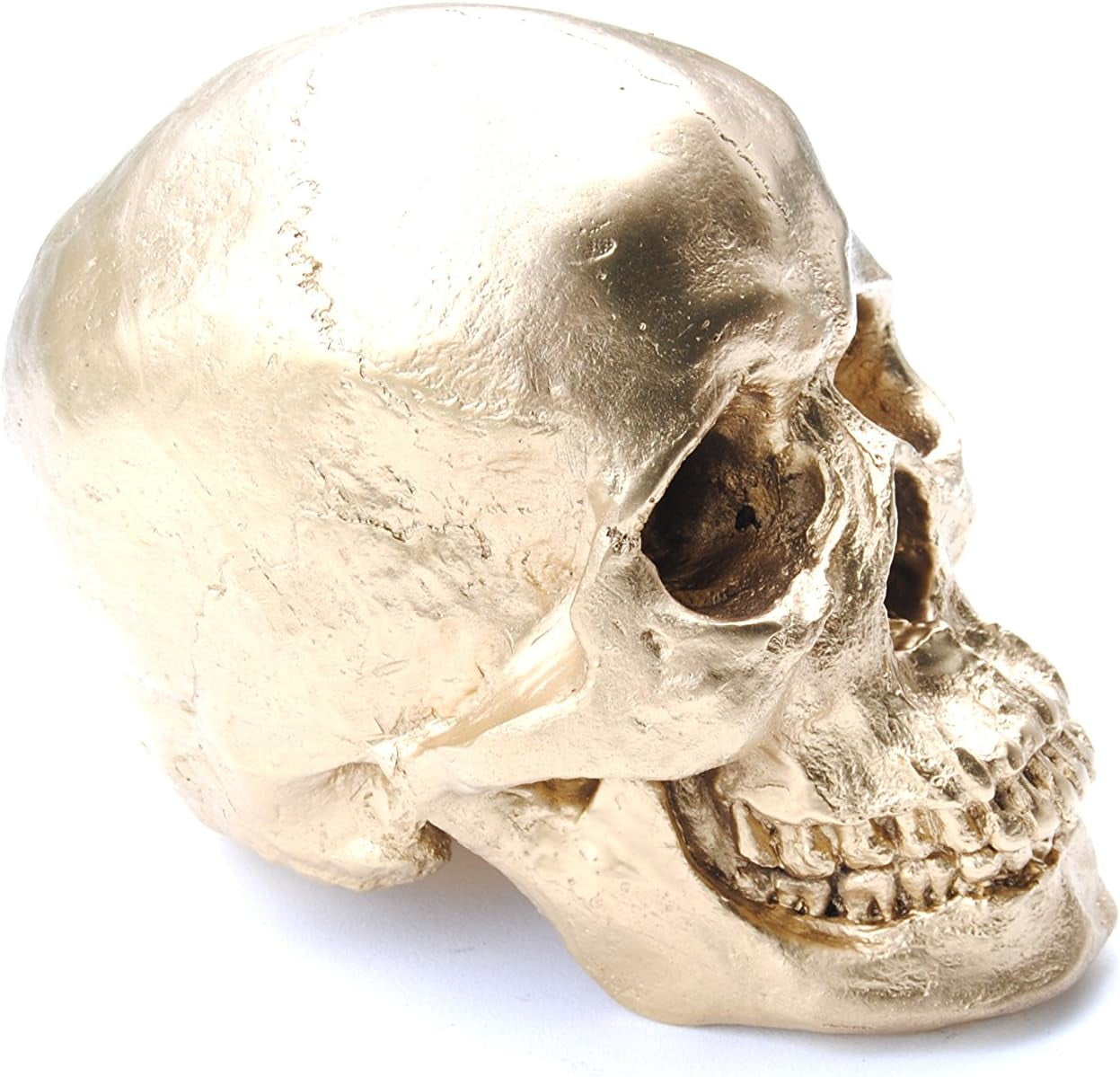 Gold Resin Life-Size Human Skull Sculpture