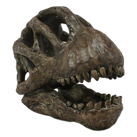 Faux Taxidermy Replica Brachiosaurus Dinosaur Head Fossil Small Skull Figurine