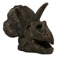 thumbnail image 1 of Faux Taxidermy Replica Triceratops Dinosaur Head Fossil Small Skull Figurine, 1 of 9
