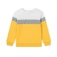 thumbnail image 1 of Favoffer Boys Girls Long Sleeve Tops Double-Sided Fleece Top Casual Color Block/Solid Cute Crewneck Sweatshirts Pullover Fall Shirts for Playdates Family Outdoor Trip Toddler Teen 1-15Y, 1 of 5