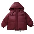 thumbnail image 1 of Favoffer Boys Girls Velvet Down Jacket Winter Warm Hooded Solid Color Long Sleeve with Pockets Thickened Outerwear for Daily/Party/Holiday Toddler 2-13Y, 1 of 3