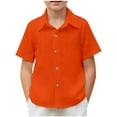 thumbnail image 1 of Favoffer Summer Boys Multicolor Light Stripe Button-Up Top Spread Collar Short Sleeve Regular Fit Stylish T-Shirt Casual Travel Camping Home 5-14Y, 1 of 9