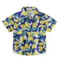 thumbnail image 1 of Favoffer Unisex Kids' Summer Multicolor Hawaiian Graphic Button-Up Shirt & Round Neck Short-Sleeve Vacation-Ready Relaxed Notch Collar, for Casual, Travel, Beach, Play 2-12Y, 1 of 6