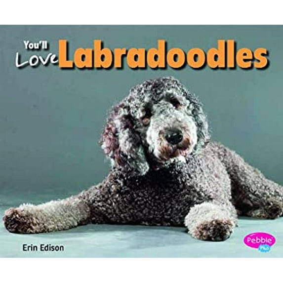 Pre-Owned You'll Love Labradoodles (Hardcover) 1491405708 9781491405703