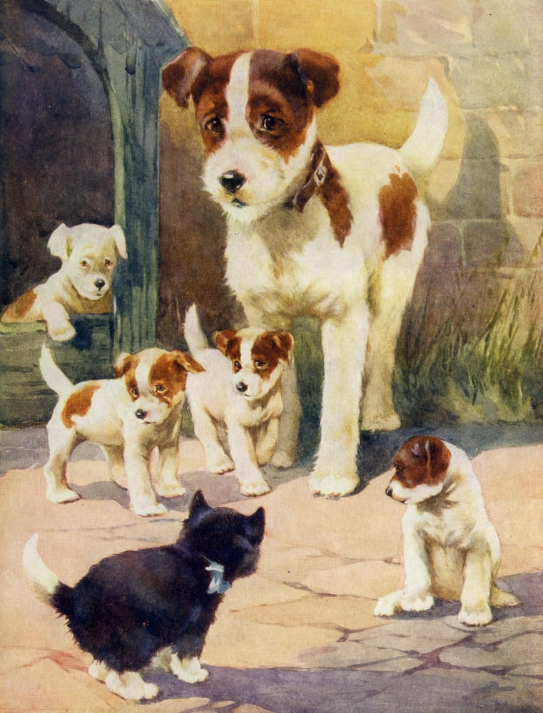 Favourite Animals c1928 Friend or Foe Canvas Art - Unknown (18 x 24)