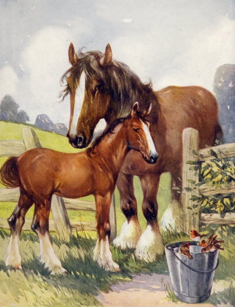 Favourite Animals c1928 Horse & Foal Canvas Art - Unknown (18 x 24)