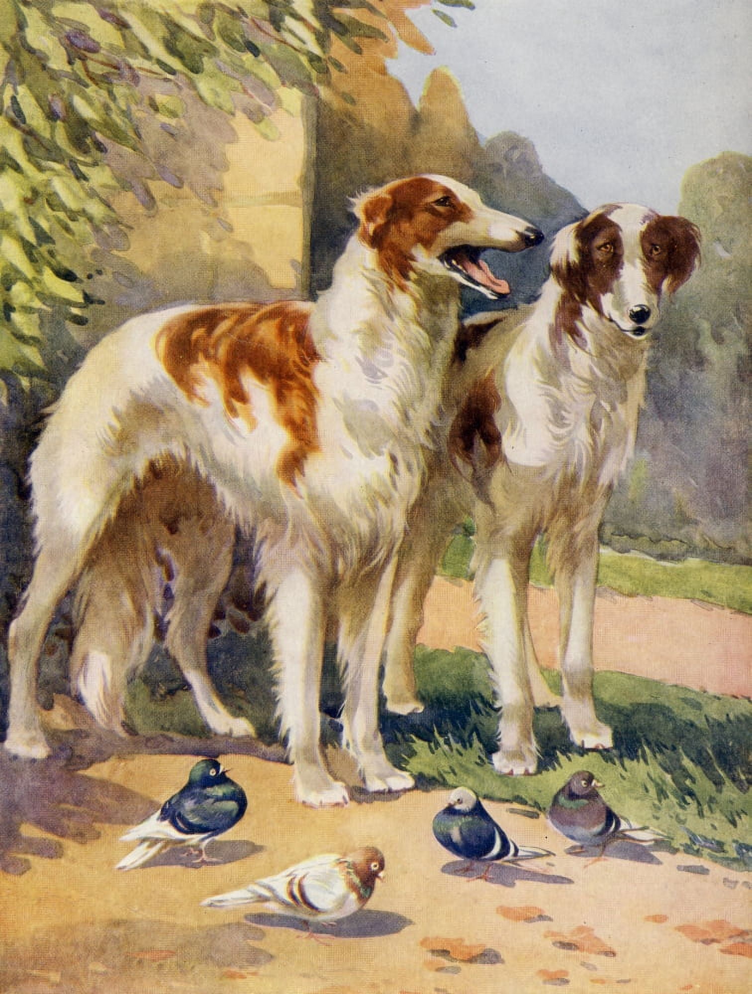 Favourite Animals c1928 Lurchers Canvas Art - Unknown (24 x 36)