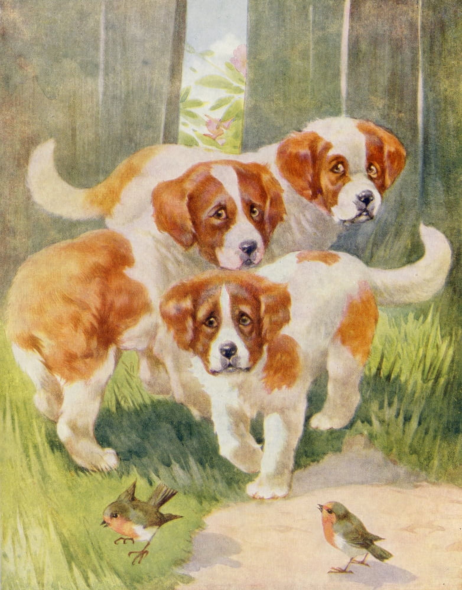 Favourite Animals c1928 Three puppies Canvas Art - Unknown (24 x 36)