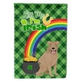 thumbnail image 1 of Fawn Pit Bull Terrier St. Patricks Day Flag Garden Size, 1 of 3