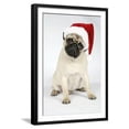 thumbnail image 1 of Fawn Pug Wearing Christmas Hat, Animals Framed Art Print Wall Art Sold by Art.Com, 1 of 6
