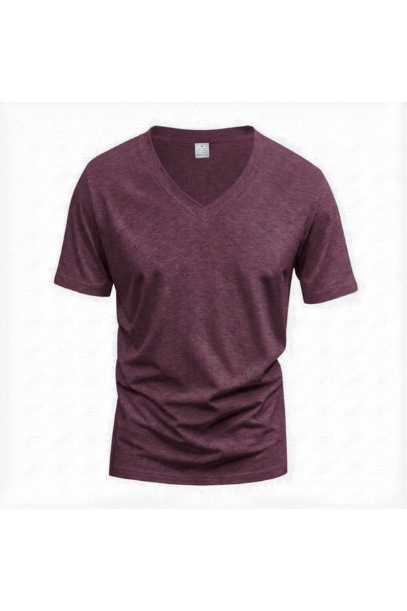 Men's Slim Fit V Neck T Shirt Short Sleeve Soft Stretchy Casual Basic Tee Tops for Summer Workout Daily Wear Multiple Colors Wine 2XL