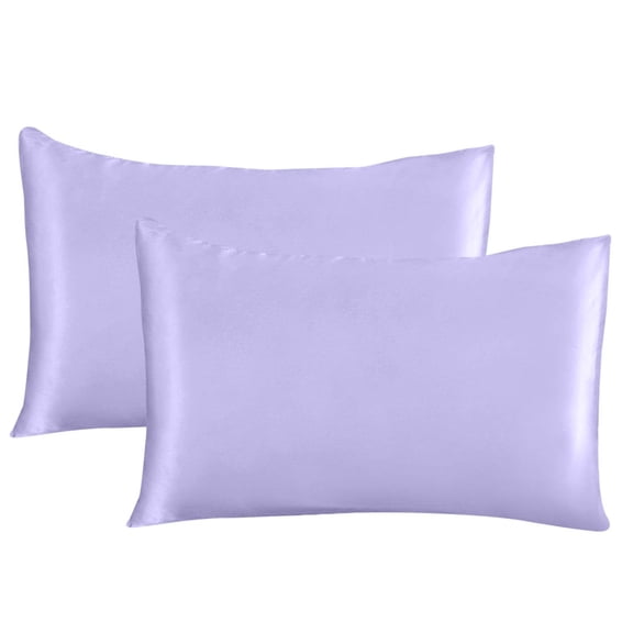 Fdelink Silk Pillowcases 2 Pack for Hair and Skin Both Sides Proof Soft Breathable Smooth Silk Pillow Cover Pillo Cover Light blue