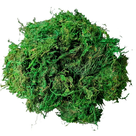 Fdgarden Wedding Green Faux Fake Moss for Potted Plants