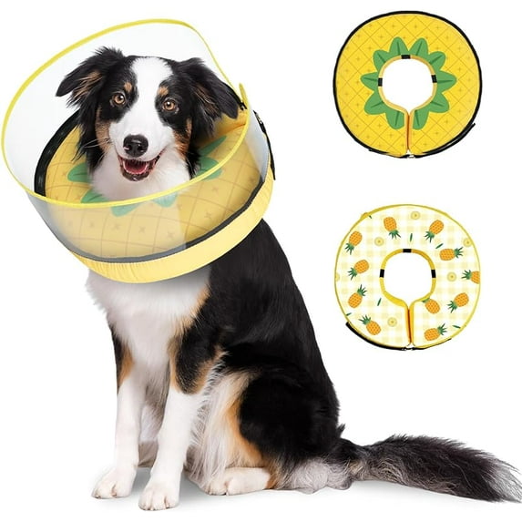 FeBohao ipetstation Dog Cone Collar for Small Medium Large Dogs Cats for After Surgery Pet Inflatable Neck