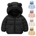 thumbnail image 1 of Feancey Toddler Girls Puffer Jacket Full Zip Hooded Winter Coats for Kids Warm Down Coat Baby Boys Packable Jackets Padded Outerwear with Pockets Black 5 Years, 1 of 6