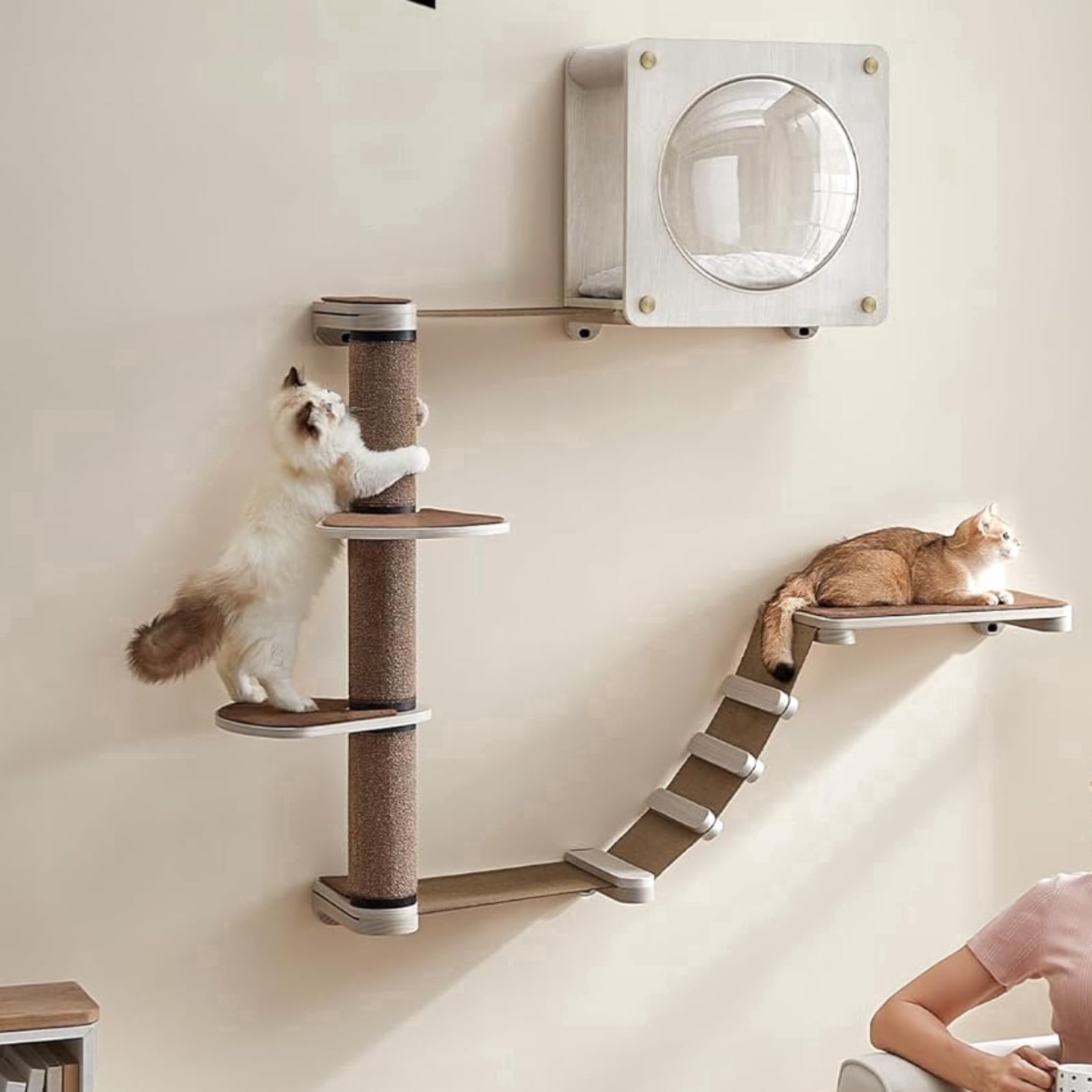 Feandrea Clickat Oasis - Cat Wall Furniture Set of 5 Cat Wall Shelf Wall-Mounted Cat Hammock Scratching Post Cave Extremely Quick Assembly Unlimited Expandability Replaceable Module and Parts