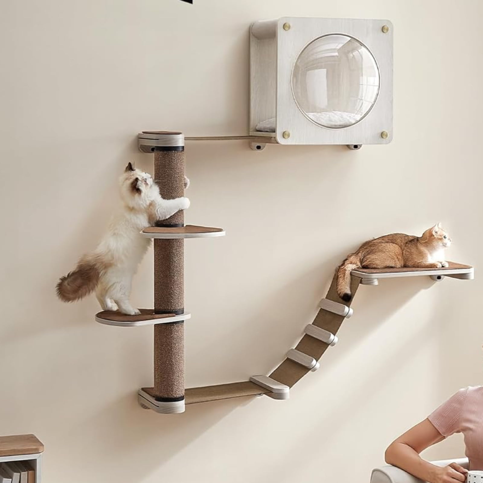 Feandrea Clickat Oasis Cat Wall Furniture Set of 5 Cat Wall Shelf