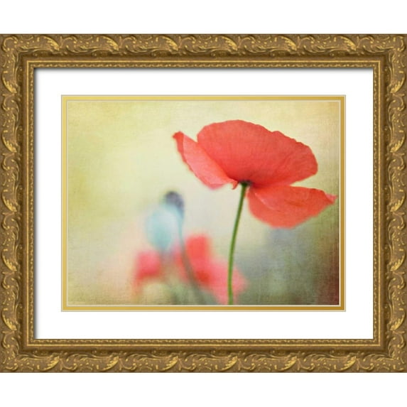 Fearheiley, Kim 24x19 Gold Ornate Wood Framed with Double Matting Museum Art Print Titled - Poppy