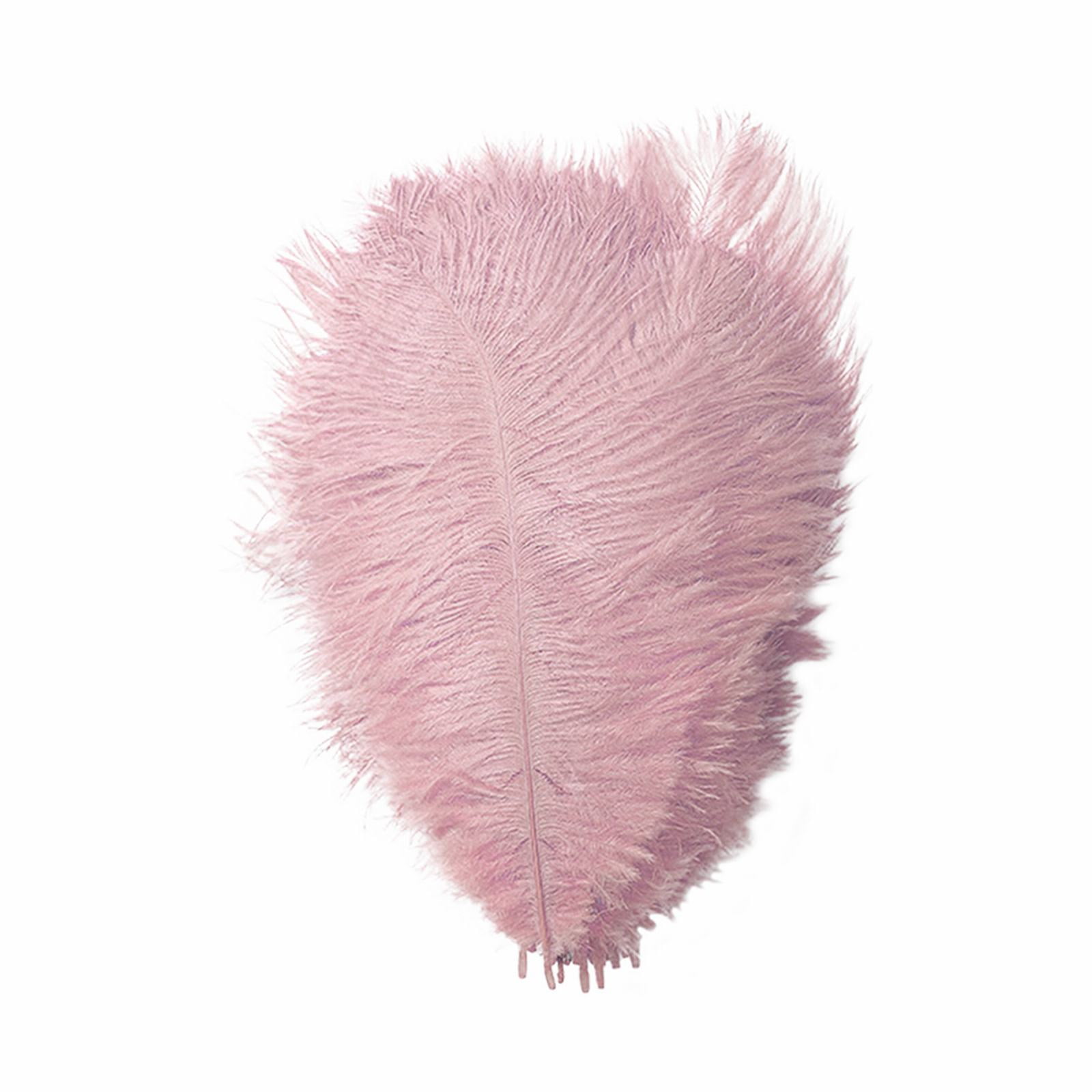 Feather 23cm Or So Stage Props Feather Wall Color Feathers