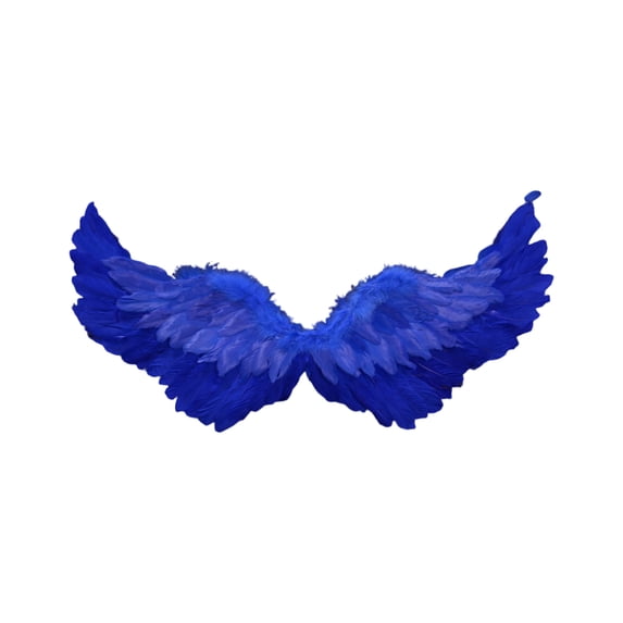 Feather Angel Wings Costume Accessory, Vibrant Color Design with Elastic Straps for Easy Wear for Halloween Party Stage Performance and Photography Props,Blue