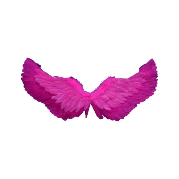 Feather Angel Wings Costume Accessory, Vibrant Color Design with Elastic Straps for Easy Wear for Halloween Party Stage Performance and Photography Props,Hot Pink