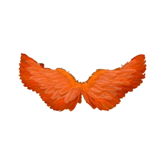 Feather Angel Wings Costume Accessory, Vibrant Color Design with Elastic Straps for Easy Wear for Halloween Party Stage Performance and Photography Props,Orange