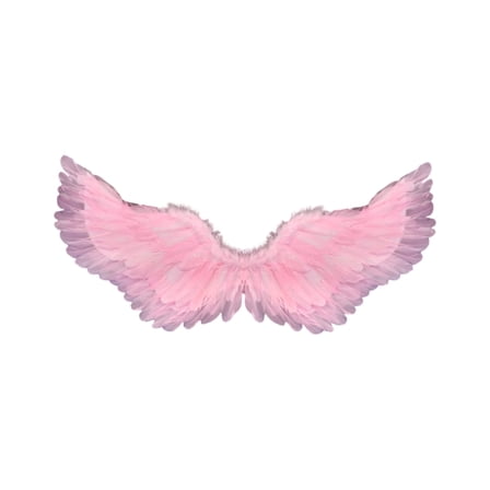 Rainbow Dash Wings Adult Halloween Accessory - Walmart.com